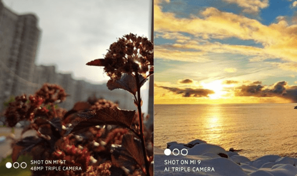 Сравнение качества фотографий со смартфонов Сяоми Ми 9Т и Ми 9